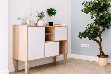 Interior of modern living room in a Scandinavian style with Wooden chest of drawers and houseplant.