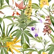 © Iuliia - Seamless pattern of cannabis plant and many kind of flowers. Legal Medicine Cannabis Marijuana Illustration. White background.