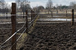 Muddy empty animal pasture paddock areas with paddles. Early spring in Poland, Europe. Countryside.