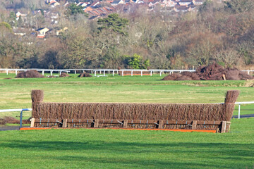 Poster - Newton Abbot Racecourse	