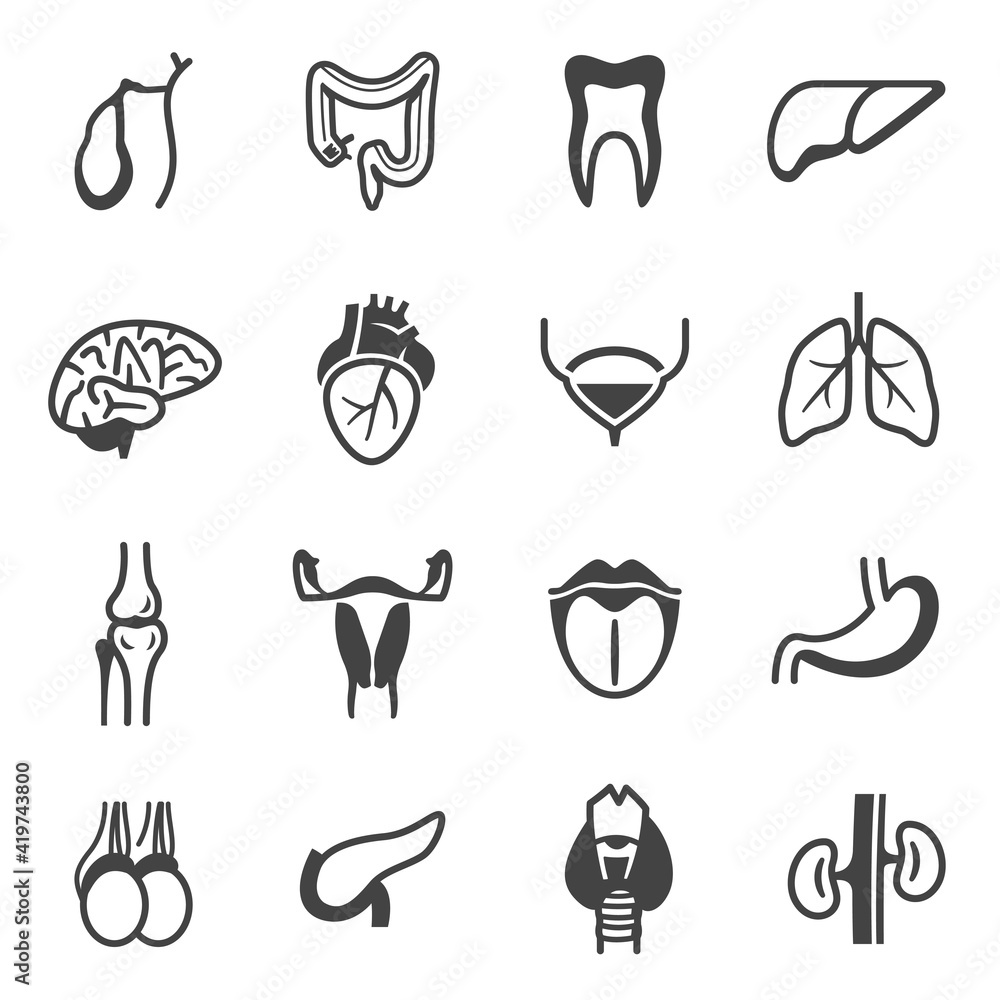 Internal organs bold black silhouette and line icons set isolated on ...