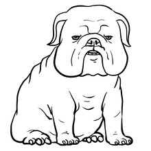 Simple Bulldog Line Art Illustration