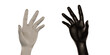 © nana - White and black hands White background 3d illustration