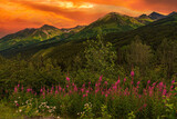 Fototapeta Na ścianę - Picturesque Mountains of Alaska in summer. Snow covered massifs, glaciers and rocky peaks. Beautiful natural background.