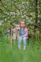 Little girl with a dog fox terrier sits on a chair in a green garden with blooming apple trees in nature