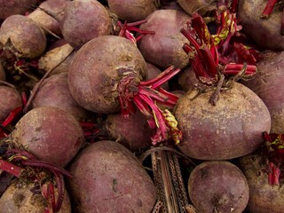 Fresh harvested beetroots in wooden crate, beets with leaves in the market