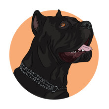 Portrait Of A Big Black Dog, On An Orange Round Background, Cane-corso. Sticker. Vector Illustration