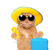 Smiling puppy wearing summer hat and sunglasses holds tropic orange cocktail and suitcase. isolated on white background