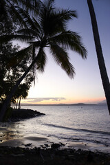 Wall Mural - Port Douglas - Australia 