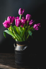 Lilac Purple Tulip Flowers On Table. Spring Bouquet Flowers In Vintage Vase. Floral Concept. Floral Background. Dark Black Background.