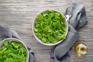 Poster - Green lettuce salad