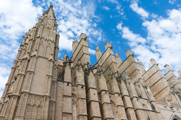 Wall Mural - Palma Cathedral in Palma de Mallorca