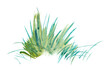 Watercolor abstract clipart with vertical brush strokes. Hand drawn grass bush.