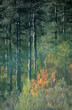 reflejo en el agua de árboles en el estanque lago rio pantano impresionismo movimiento otoño  4M0A4355-as21
