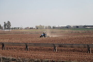 Canvas Print - tractor in a field