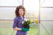 © Stocked House Studio - happy female workers trimming plants in greenhouse
