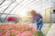 © Stocked House Studio - happy female workers trimming plants in greenhouse