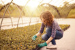 © Stocked House Studio - happy female workers trimming plants in greenhouse
