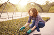© Stocked House Studio - happy female workers trimming plants in greenhouse