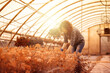 © Stocked House Studio - happy female workers trimming plants in greenhouse