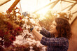 © Stocked House Studio - happy female workers trimming plants in greenhouse