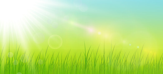 Wall Mural - Sunny natural background, summer sun with green grass and blurry bokeh as fresh green spring background, nature vector illustration.