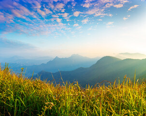 Mountains and fog in the morning of thailand