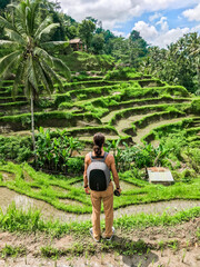 Wall Mural - Travel to Asia. Bali island