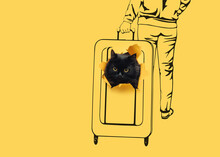 The Head Of A Funny Black Cat Peeks Out Of A Ragged Hole In Yellow Paper On Which A Big Suitcase And A Woman Rolling It Around The Station Are Drawn.The Concept Of Transportation,pets In Travel.Scetch