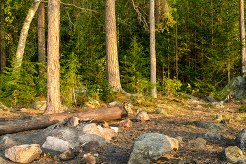 Canvas Print - Campfire in the woods