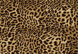 abstract animal skin pattern vector