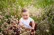 © Any Grant - laughing little baby girl 7 months old sitting among the field grass in a white dress, healthy walk in the fresh air, top view