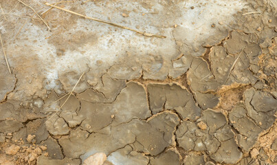 Wall Mural - Saline soil