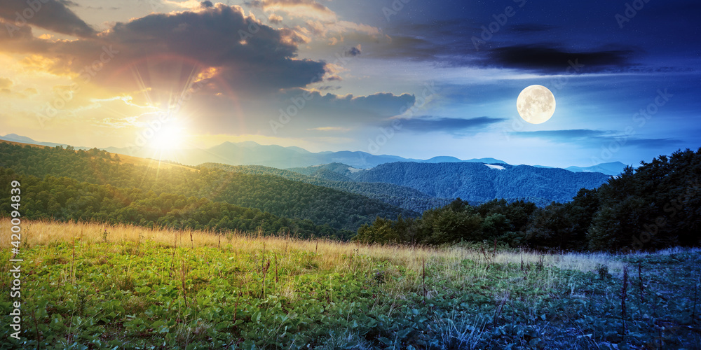 day and night time change concept above summer mountain landscape. beautiful scenery with sun and moon. beech forest and grassy alpine meadows on the hills. clouds on the gorgeous sky - obrazy, fototapety, plakaty 