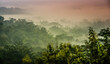 misty morning landscape forest