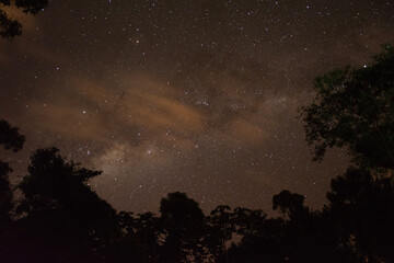 starry night sky