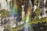Fototapeta Tęcza - Colorful rainbow in waterfall at the forest Landscape 