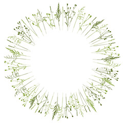 Round frame with natural herbs on white background - silhouette of green grass - circle herbal border - element for spring and summer design