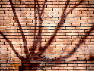 Wall Mural - A brick wall background with a black tree shadow.