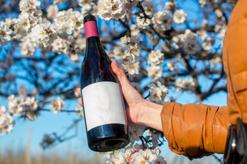 Poster - Wine in the hands of a girl