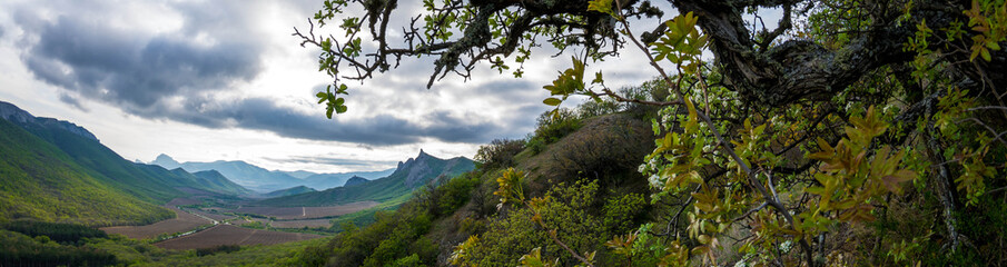 Sticker - Mountain spring landscape