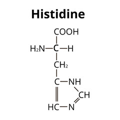 Wall Mural - Amino acid Histidine. Chemical molecular formula Histidine amino acid. Vector illustration on isolated background