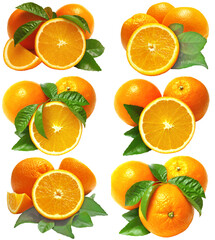 Sticker - Fruit oranges on white isolated background