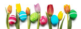 Fototapeta Tulipany - Easter eggs and tulips on white