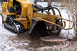 Tree stump removing process with yellow stump grinder
