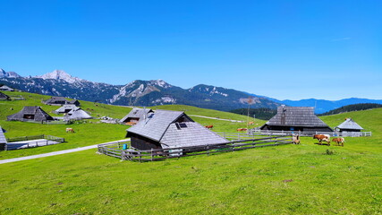 Wall Mural - Mountain pasture farms Velika Planina in Slovenia