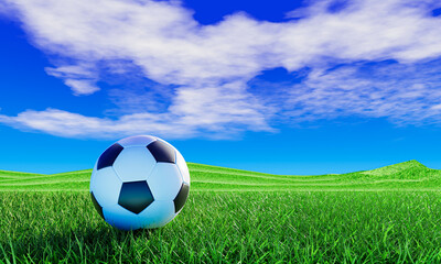 Realistic soccer ball or football ball basic pattern on a green grass field. A vast bright green grass field or lawn with blue sky and white clouds. 3D Rendering.