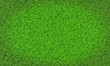 © Superrider - Top view Fresh green lawns for background, backdrop or wallpaper. Plains and grasses of various sizes are neat and tidy. The lawn surface is evenly shining and bright.3D Rendering