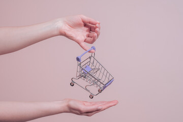 Female hands holding small empty shopping cart. Modern commerce and retail concept