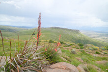 Beautiful Green Pastures On A Mountain Top In Hogsback, South Africa